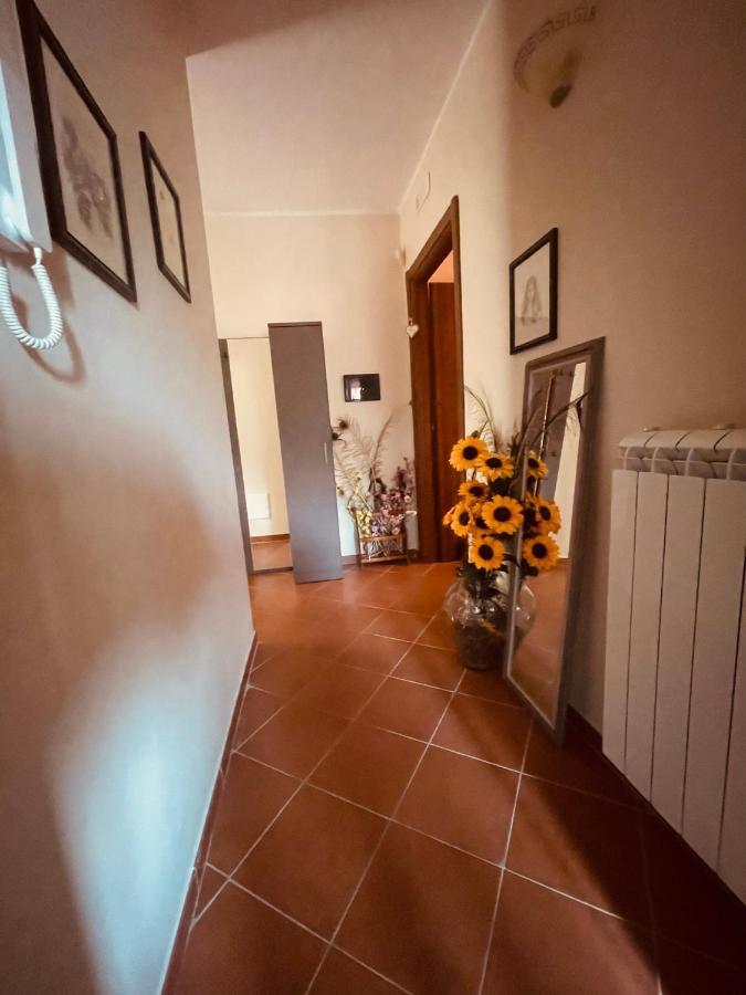Da Nonna Pasqualina Bed and Breakfast Ciorlano Eksteriør billede